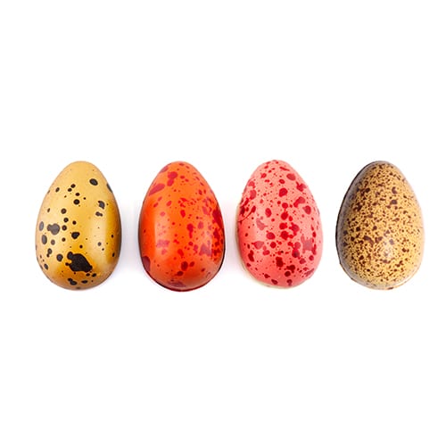 Oster Eier, assortiert